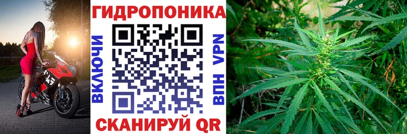Виды наркотиков купить Шацк COCAIN MEGA рабочий сайт Меф мяу мяу Alpha PVP