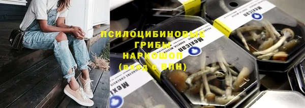 стаф Балахна